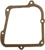 Intake Plenum Gasket